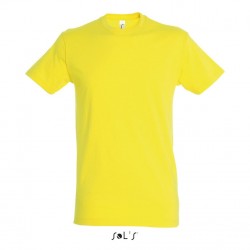T-shirt homme - Regent