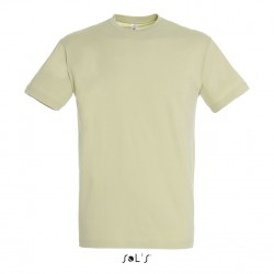 T-shirt homme - Regent