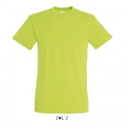 T-shirt homme - Regent