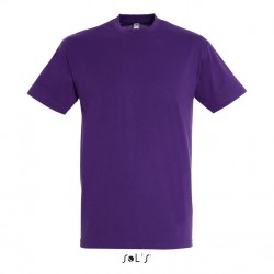 T-shirt homme - Regent